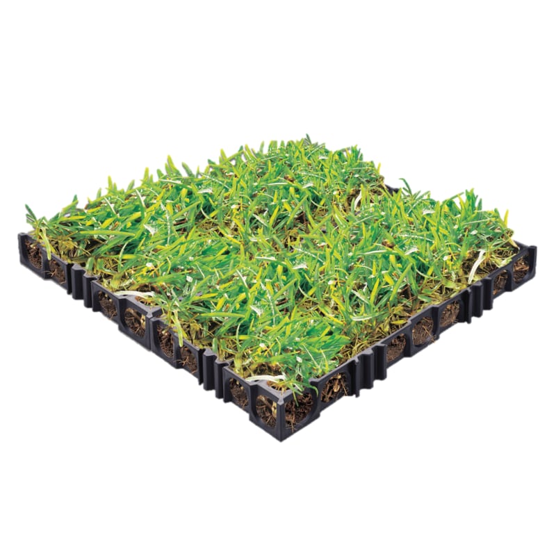 Turf Cell®